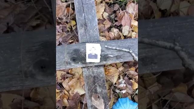 ПОРЧА НА ЛЮБОВНИКА ПОРЧА НА ЛЮБОВНИКА