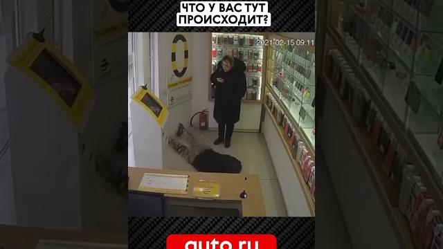 Что у вас тут происходит?! Что у вас тут происходит?!