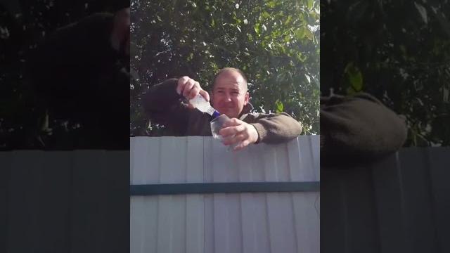 прикол про Игоря прикол про Игоря