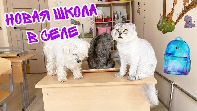 ЗВЕРОДЕТИ В НОВОЙ ШКОЛЕ В ДЕРЕВНЕ ЗВЕРОДЕТИ В НОВОЙ ШКОЛЕ В ДЕРЕВНЕ