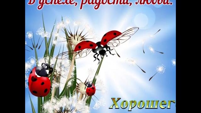 Пожелание хорошего дня Пожелание хорошего дня