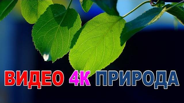 Видео природа 4к UHD Самое красивое видео Видео природа 4к UHD Самое красивое видео