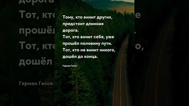Кто винит других Про жизнь - цитаты #цитаты #цитати #прожизнь #прожиття #цитатадня #цитатf #мозг Кто винит других Про жизнь - цитаты #цитаты #цитати #прожизнь #прожиття #цитатадня #цитатf #мозг
