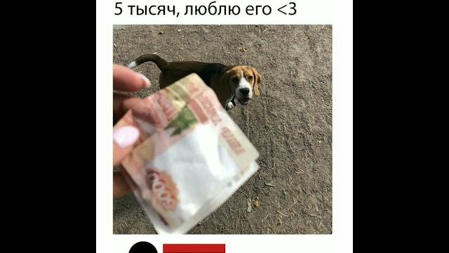 15 ноября 2024 г. 15 ноября 2024 г.