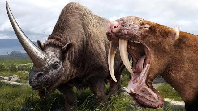 Самые Странные и Необычные Доисторические Животные Самые Странные и Необычные Доисторические Животные
