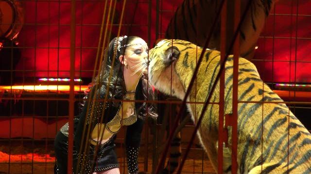 Carmen Zander - The Queen of Tigers - 42nd International Circus Festival of Monte-Carlo 2018 Carmen Zander - The Queen of Tigers - 42nd International Circus Festival of Monte-Carlo 2018