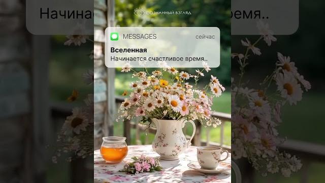 У вас одно новое сообщение У вас одно новое сообщение
