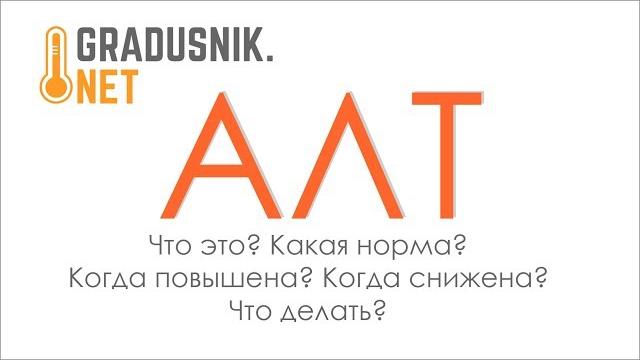 АЛТ - что это? Норма? Причины повышения? АЛТ - что это? Норма? Причины повышения?