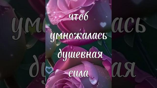 С Добрым Вечером Красивые пожелания доброго вечера в стихах! Открытка Добрый Вечер!#shortvideo С Добрым Вечером Красивые пожелания доброго вечера в стихах! Открытка Добрый Вечер!#shortvideo
