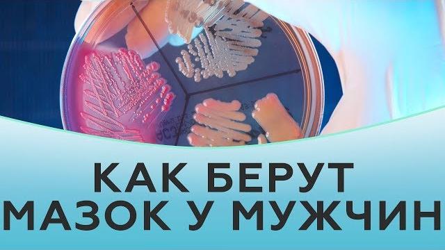 Как берут мазок у мужчин Как берут мазок у мужчин