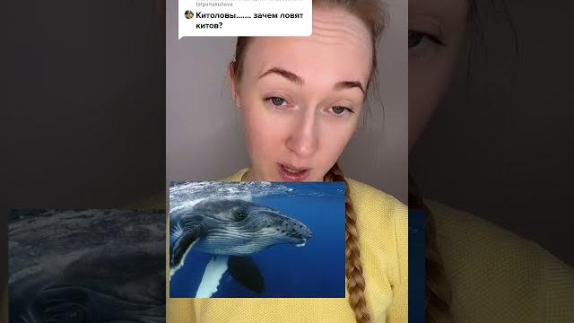 Зачем ловят китов Зачем ловят китов