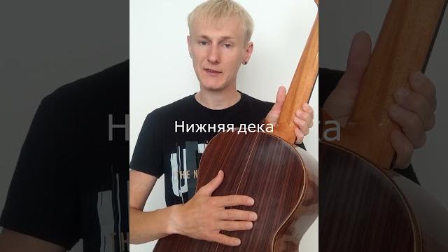 Из чего состоит корпус гитары? Из чего состоит корпус гитары?