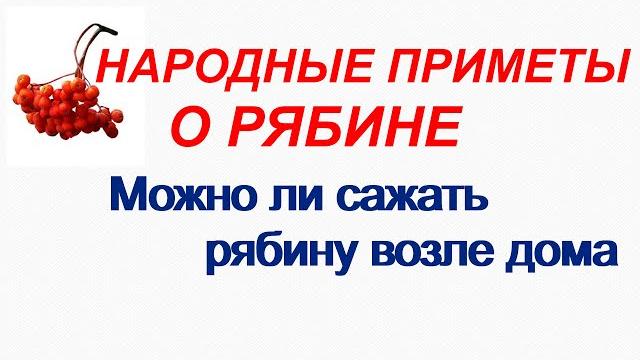 Народные приметы о РЯБИНЕ Народные приметы о РЯБИНЕ