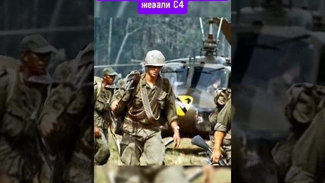Почему американские солдаты жевали С4 #вьетнам Почему американские солдаты жевали С4 #вьетнам