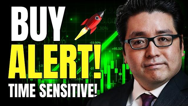 Tom Lee: “The Most Hated Rally In History And Stocks Are Still Cheap” (Buy This Growth Stock Now!) Tom Lee: “The Most Hated Rally In History And Stocks Are Still Cheap” (Buy This Growth Stock Now!)