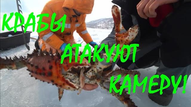 КРАБ НАПАЛ на ВИДЕОКАМЕРУ. Кадры ПОДВОДНОЙ СЪЕМКИ. Как поймать краба? Crab attacked the camcorder. КРАБ НАПАЛ на ВИДЕОКАМЕРУ. Кадры ПОДВОДНОЙ СЪЕМКИ. Как поймать краба? Crab attacked the camcorder.