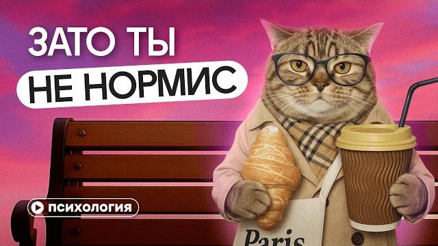 Кто такие нормисы? Почему стыдно быть обычным? Кто такие нормисы? Почему стыдно быть обычным?