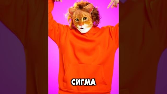 СИГМА КОТ СУЩЕСТВУЕТ? СИГМА КОТ СУЩЕСТВУЕТ?
