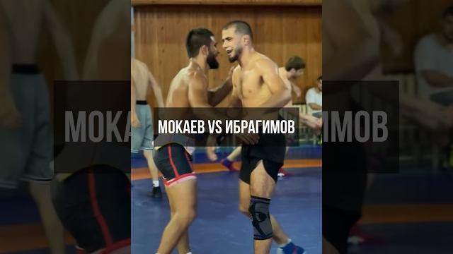Мокаев против Ибрагимова / Борцовская тренировка в зале «Динамо» Мокаев против Ибрагимова / Борцовская тренировка в зале «Динамо»