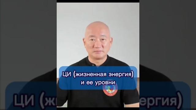 ЦИ (жизненная энергия) и ее уровни ЦИ (жизненная энергия) и ее уровни