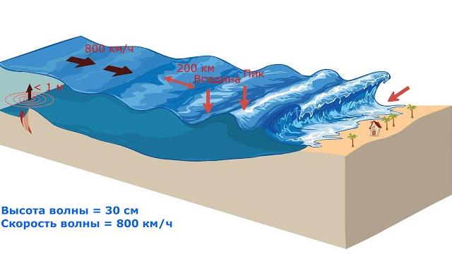 How a tsunami / earthquake is formed How a tsunami / earthquake is formed