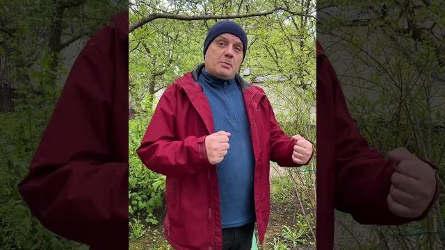 КАК ОБРАБАТЫВАТЬ САД В ХОЛОДА? КАК ОБРАБАТЫВАТЬ САД В ХОЛОДА?