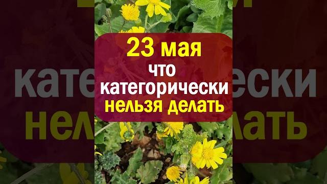23 мая народный праздник Симонов день. Что нельзя делать. Народные приметы, традиции, суеверия 23 мая народный праздник Симонов день. Что нельзя делать. Народные приметы, традиции, суеверия