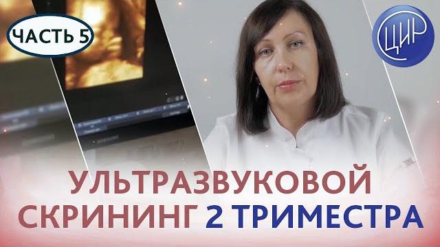 УЗИ 2 триместра. Сроки и задачи ультразвукового скрининга второго триместра. Беременность в ЦИР. УЗИ 2 триместра. Сроки и задачи ультразвукового скрининга второго триместра. Беременность в ЦИР.