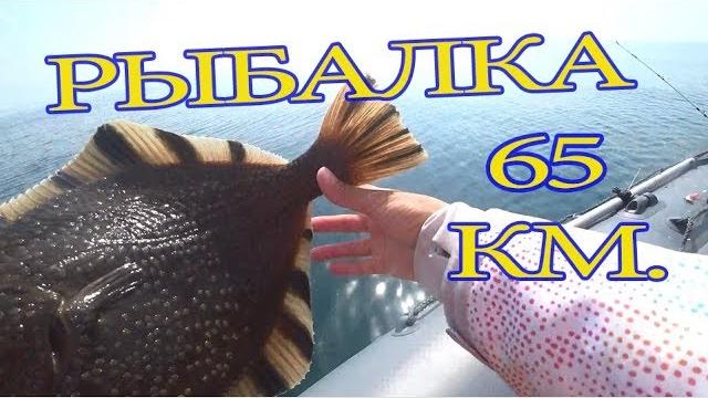 Рыбалка в море. Камбала . Минтай/ САХАЛИН Рыбалка в море. Камбала . Минтай/ САХАЛИН