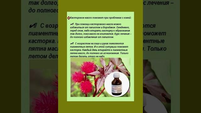 Касторовое масло помогает при проблемах с кожей #масло #здоровьекожи #долголетие #бородавки Касторовое масло помогает при проблемах с кожей #масло #здоровьекожи #долголетие #бородавки