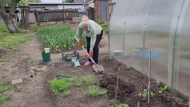 ВЛОГ: ИЗ МАМИНОГО ДОМА \ ПЕРЕЕХАЛИ В РОССИЮ ВЛОГ: ИЗ МАМИНОГО ДОМА \ ПЕРЕЕХАЛИ В РОССИЮ