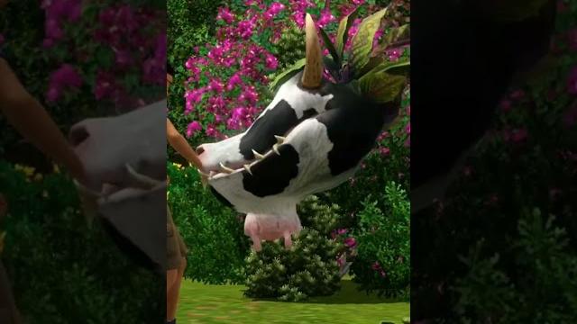 The Sims 3 | СМЕРТЬ ОТ коровы #shorts The Sims 3 | СМЕРТЬ ОТ коровы #shorts