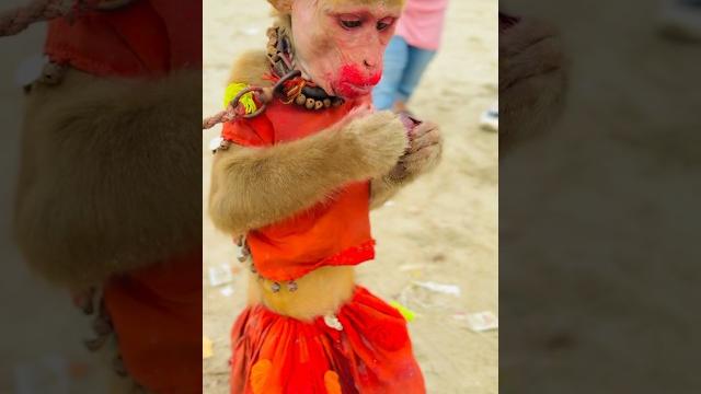 Eid Mubarak ️ #shorts #trending #youtubeshorts #viralvideo #summerofshorts #realalikhan Eid Mubarak ️ #shorts #trending #youtubeshorts #viralvideo #summerofshorts #realalikhan