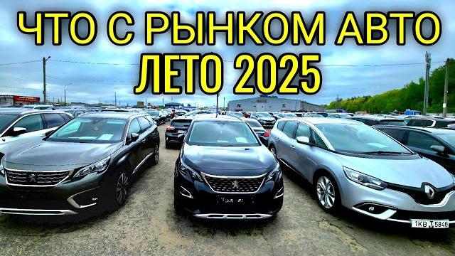 Рынок Малиновка начал ДВИЖЕНИЕ по Ценам Рынок Малиновка начал ДВИЖЕНИЕ по Ценам