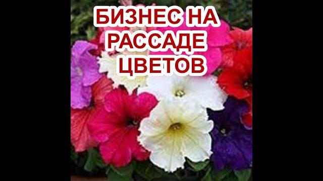 СЕЗОН 2023.ЧТО ГОТОВИТЬ? СЕЗОН 2023.ЧТО ГОТОВИТЬ?