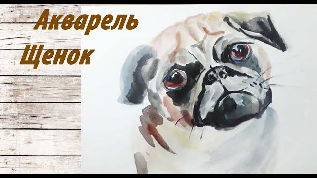 Акварель. Как нарисовать щенка. Урок. Акварель. Как нарисовать щенка. Урок.