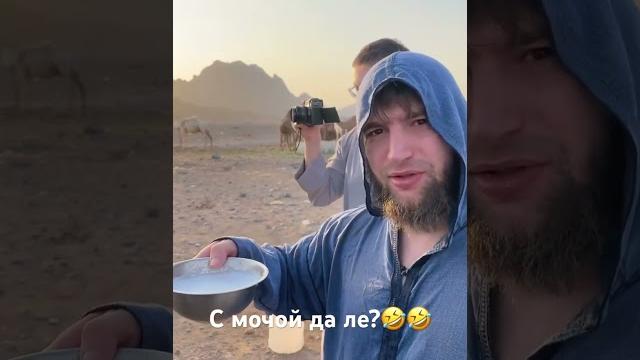 Алихма что это такое? #lahma #лахма #lahmadju Алихма что это такое? #lahma #лахма #lahmadju
