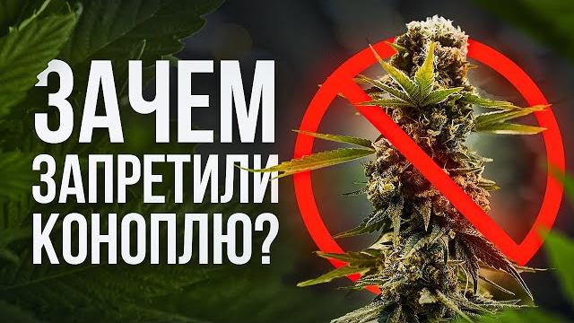 КОНОПЛЯ - Сельхозкультура №1 в СССР и Российской Империи. КТО ЕЁ ЗАПРЕТИЛ? - Документальный фильм КОНОПЛЯ - Сельхозкультура №1 в СССР и Российской Империи. КТО ЕЁ ЗАПРЕТИЛ? - Документальный фильм