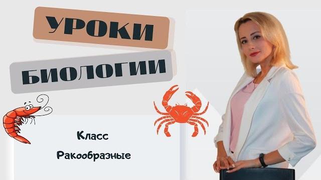 Класс Ракообразные Класс Ракообразные