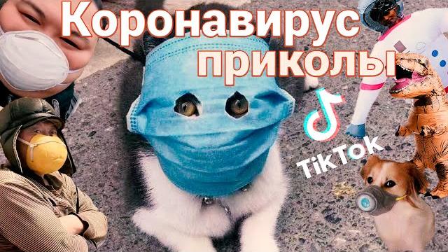 Приколы из Китая про Коронавирус. Жизнь в Китае. Приколы из Китая про Коронавирус. Жизнь в Китае.