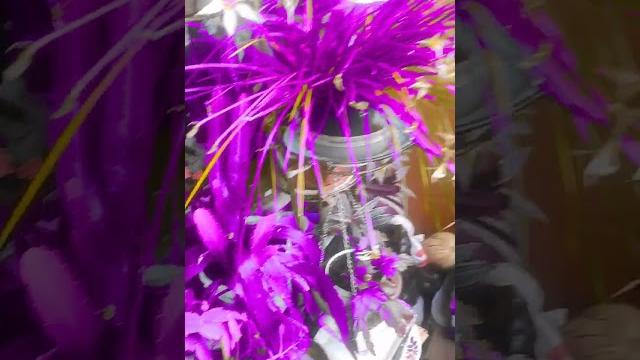 Прикольный фильтр) Прикольный фильтр)