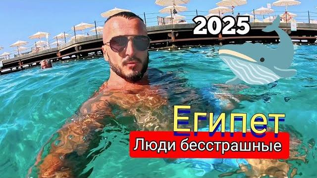 Египет ЭТО ОПАСНО ЗАЧЕМ ТУДА ПЛЫТЬ?SUNRISE Holidays Resort 5* Ужин анимация Шератон Хургада Египет ЭТО ОПАСНО ЗАЧЕМ ТУДА ПЛЫТЬ?SUNRISE Holidays Resort 5* Ужин анимация Шератон Хургада