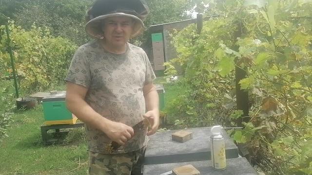 Травим клеща осенью. Апизоль и турецкие полоски. Травим клеща осенью. Апизоль и турецкие полоски.