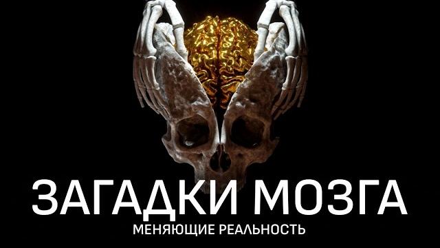 То, что вы считаете реальностью – иллюзия То, что вы считаете реальностью – иллюзия