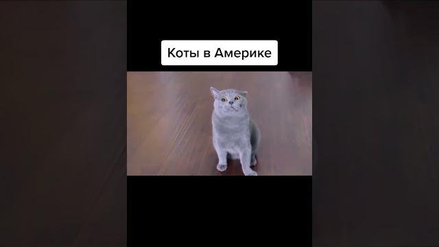 прикол Америка против России прикол Америка против России