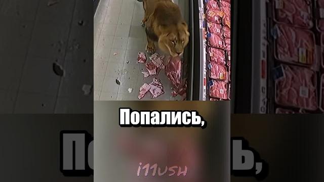 Реальное видео или?... Реальное видео или?...