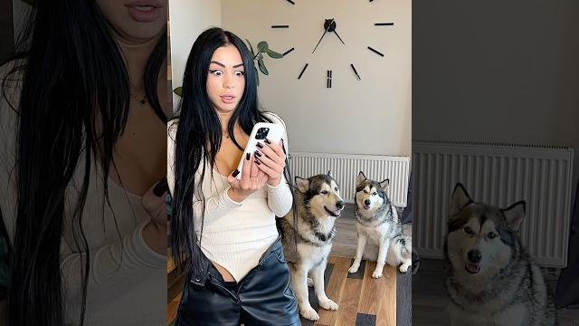 Новые Приколы 2025 / new funny memes in shorts Новые Приколы 2025 / new funny memes in shorts