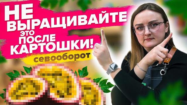 КАК СПЛАНИРОВАТЬ ПОСАДКИ? Севооборот КАК СПЛАНИРОВАТЬ ПОСАДКИ? Севооборот
