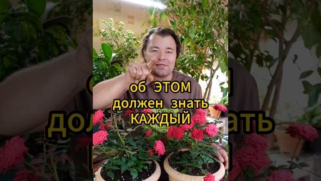 ЗАЧЕМ ОТСТАИВАТЬ ВОДУ ИЗ ПОД КРАНА? ЗАЧЕМ ОТСТАИВАТЬ ВОДУ ИЗ ПОД КРАНА?