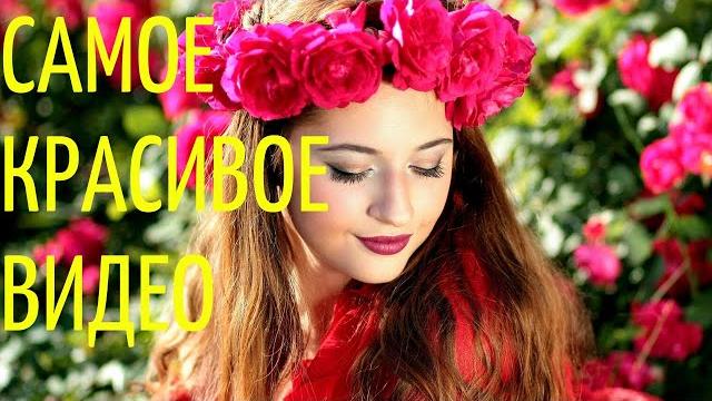 Очень красивое видео. Цветы и природа. Очень красивое видео. Цветы и природа.